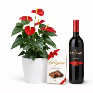 מארז אנתוריום ויין עם שוקולד בלגי - פרחי בלנקה