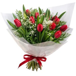 זר טוליפים אדומים וגיבסנית – תשוקה אביבית